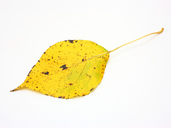 Similar image 321746