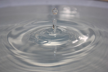 Similar image 321751