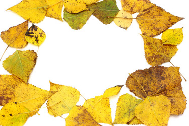 Similar image 321757