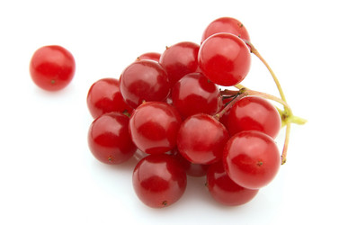 Similar image 321816