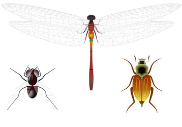 Similar image 321964