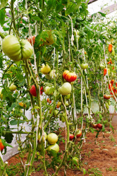 Similar image 321983