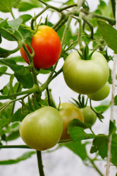 Similar image 321985