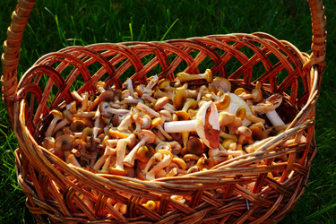 Similar image 321991