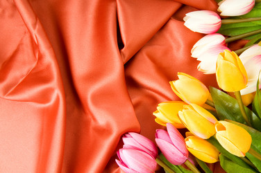 Similar image 322112