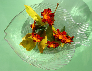 Similar image 322135