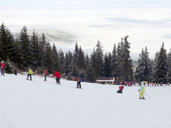 Similar image 322207