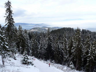 Similar image 322211