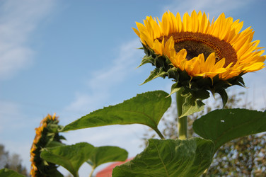 Similar image 322216