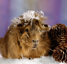 Similar image 322218