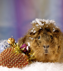 Similar image 322222