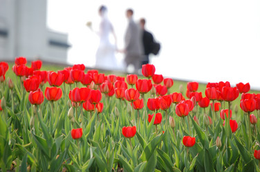 Similar image 322232