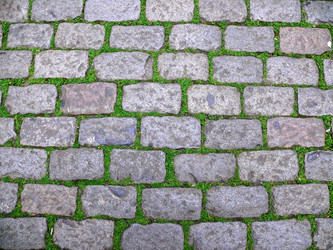 Similar image 322250