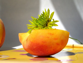 Similar image 322253