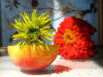 Similar image 322255