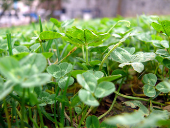 Similar image 322304