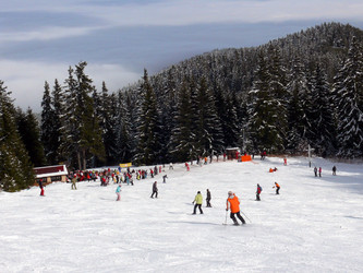 Similar image 322311