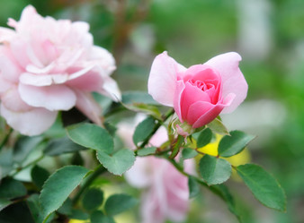 Similar image 322325