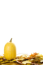 Similar image 322328