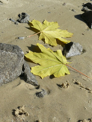 Similar image 322368