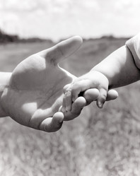 Similar image 322382