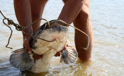 Similar image 322384