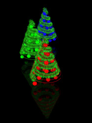 Similar image 322469