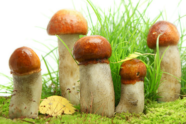 Similar image 322474