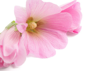 Similar image 322479