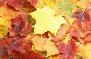 Similar image 322485