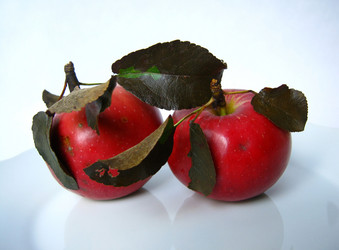 Similar image 322499