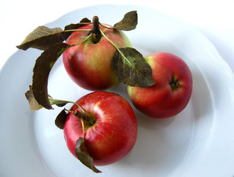 Similar image 322500