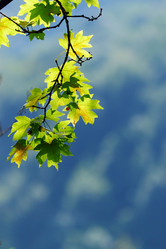 Similar image 322619