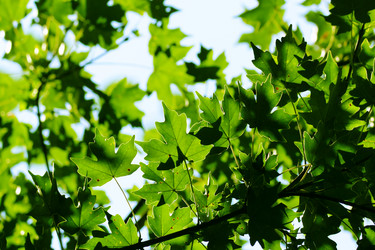 Similar image 322620