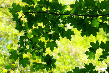 Similar image 322621