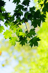 Similar image 322623