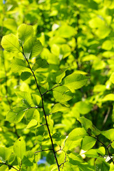 Similar image 322627