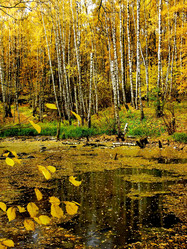 Similar image 322630