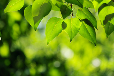 Similar image 322631