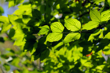 Similar image 322634