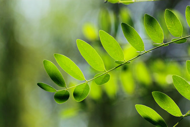 Similar image 322636