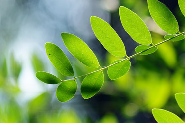 Similar image 322638