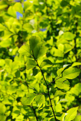 Similar image 322640