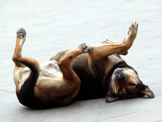 Similar image 322651