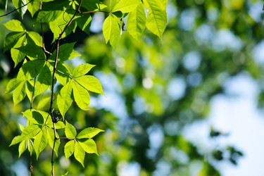 Similar image 322674