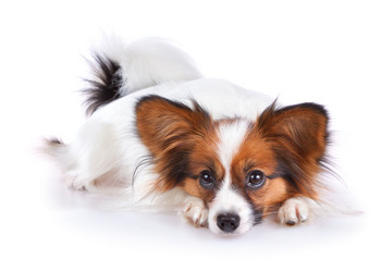 Similar image 322675