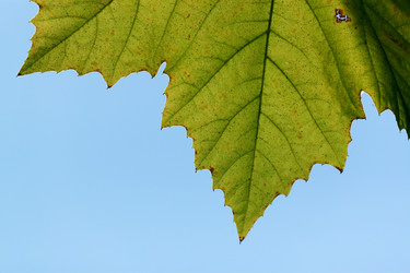 Similar image 322680