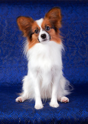 Similar image 322682