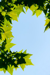 Similar image 322689