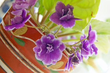 Similar image 322873